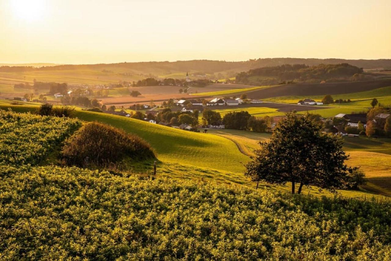 Ferienwohnung Veronika Bad Griesbach im Rottal Exterior foto